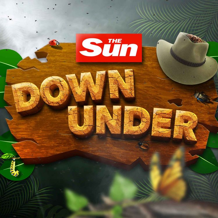 cover art for I’m A Celeb - Sun Down Under Ep20- Fred Sets Record Straight & Jamie Lynn's Secret Plan