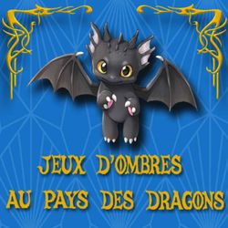 cover art for Livre jeunesse : Jeux d'Ombres au Pays des Dragons, la quête du sorcier.