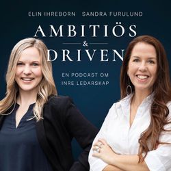 cover art for AMBITIÖS & DRIVEN