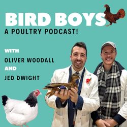 cover art for BirdBoys - A Poultry Podcast!