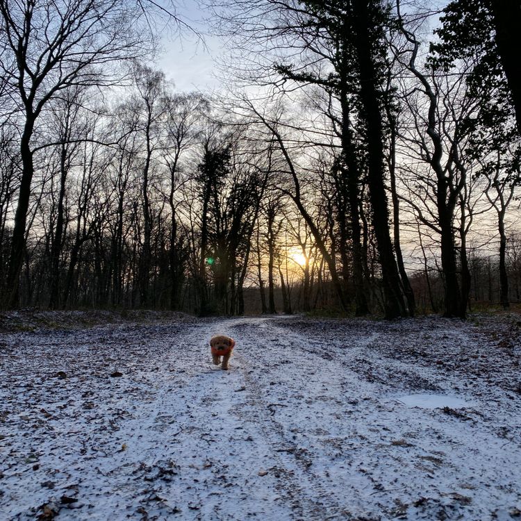 cover art for être gentille