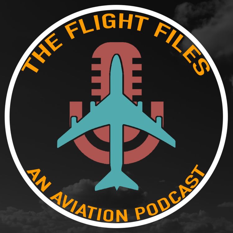 cover art for American Airlines Flight 191: The Disaster That Grounded the DC-10