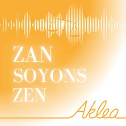 cover art for Zan Soyons Zen