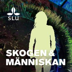 cover art for Skogen & Människan