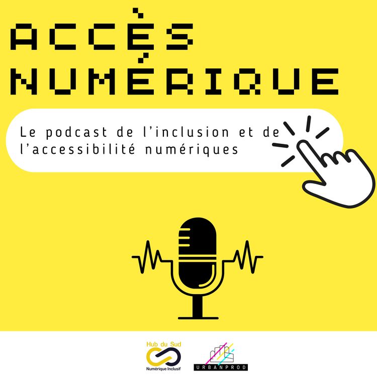cover art for Quelles sont les solutions de financement des projets d’inclusion numérique ?