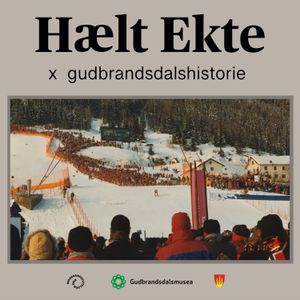 cover art for Hælt Ekte x gudbrandsdalshistorie