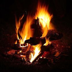 cover art for Campfire Creepies