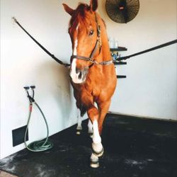 cover art for Cross-tie Conversations