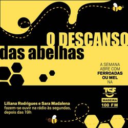 cover art for O descanso das abelhas