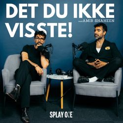 cover art for DET DU IKKE VISSTE!