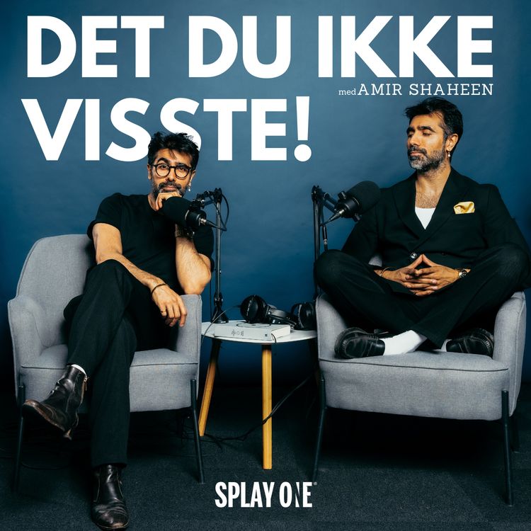 cover art for DEL 2 - Psykologen Lars Delhi - Bokutgivelse, dating og dypere innsikt i livet