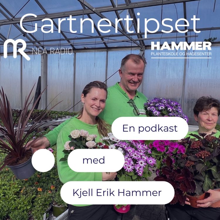 cover art for Gartnertipset. På tide å komme i gang i hagen