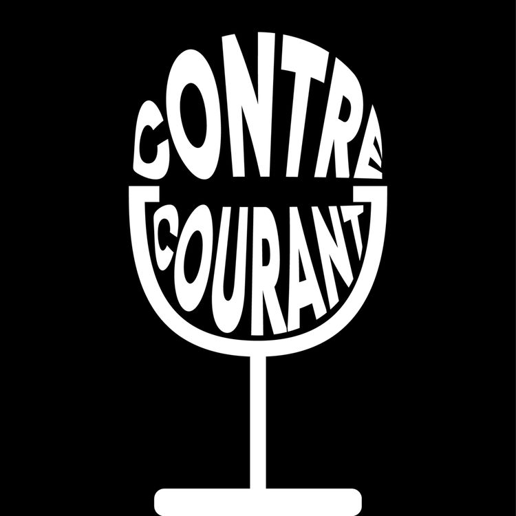 cover art for 2 FRANCE QUI NE SE PARLENT PLUS ? Théo Fernandez (Les Tuche) sur Contre-Courant.