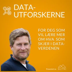 cover art for Datautforskerne