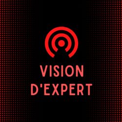 cover art for VISION D'EXPERT