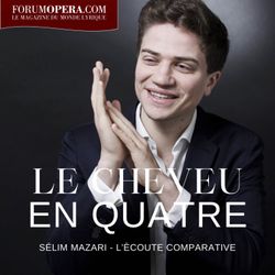 cover art for Le cheveu en quatre par Sélim Mazari