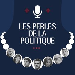 cover art for Les perles de la politique 