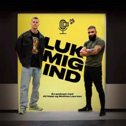 cover art for Luk Mig Ind