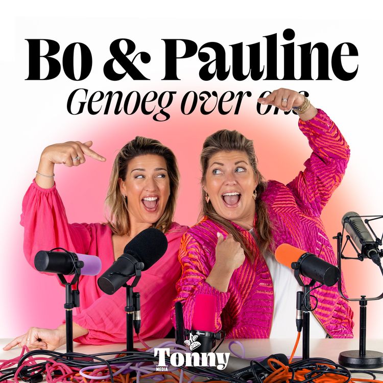 cover art for Boetes pakken en burgers klappen 