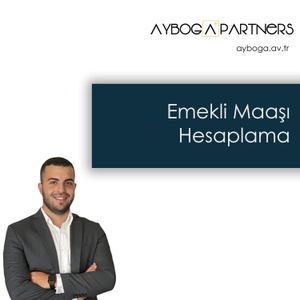 cover art for Emekli Maaşı Hesaplama