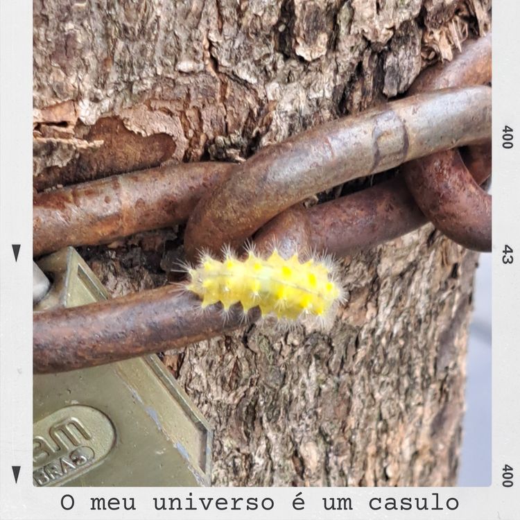 cover art for 10 - Caroço