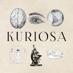 cover art for Kuriosa