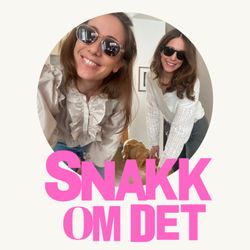 cover art for Snakk om det