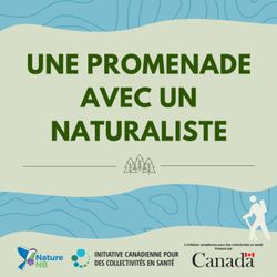 cover art for Une promenade avec un naturaliste