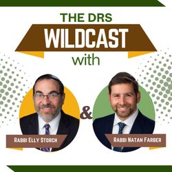 cover art for The DRS Wildcast