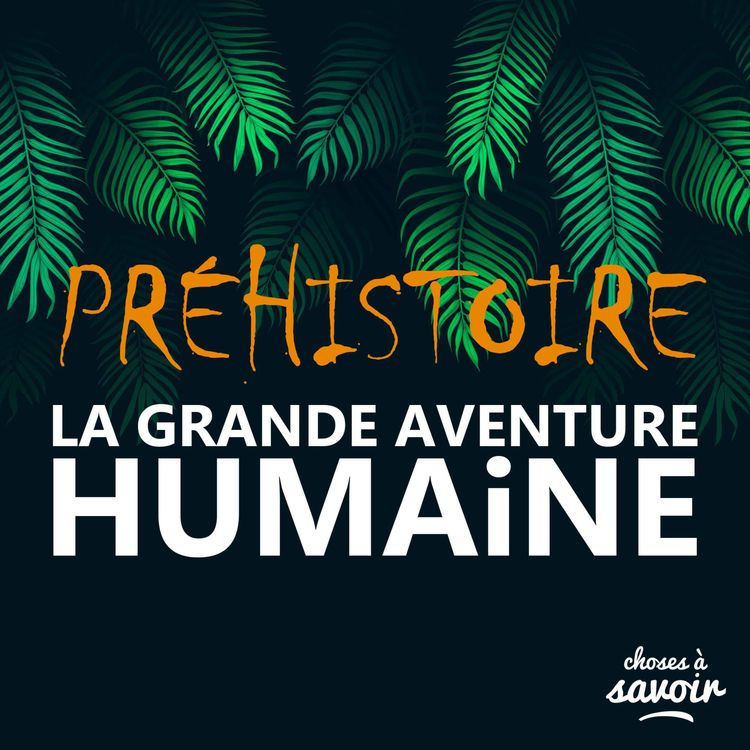 cover art for Néolithique 6/10 : Rites et croyances