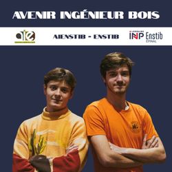 cover art for Avenir Ingénieur Bois