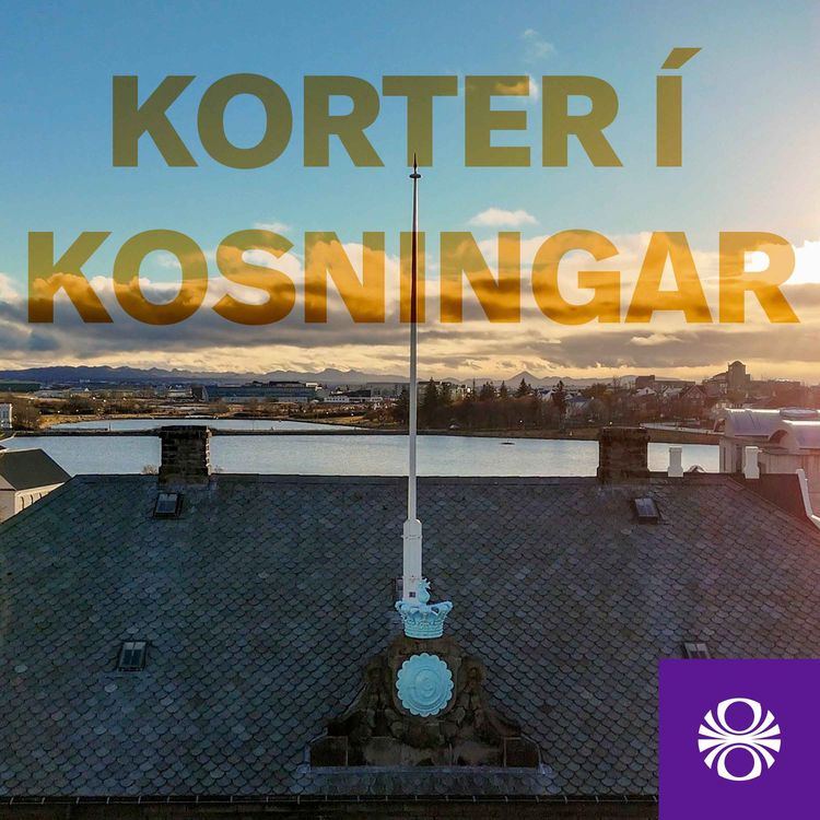 cover art for Korter yfir kosningar