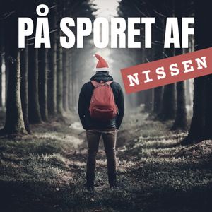 cover art for På sporet af nissen