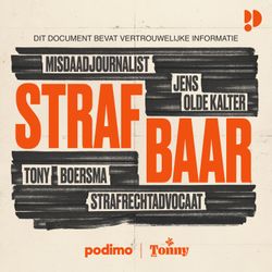 cover art for Strafbaar