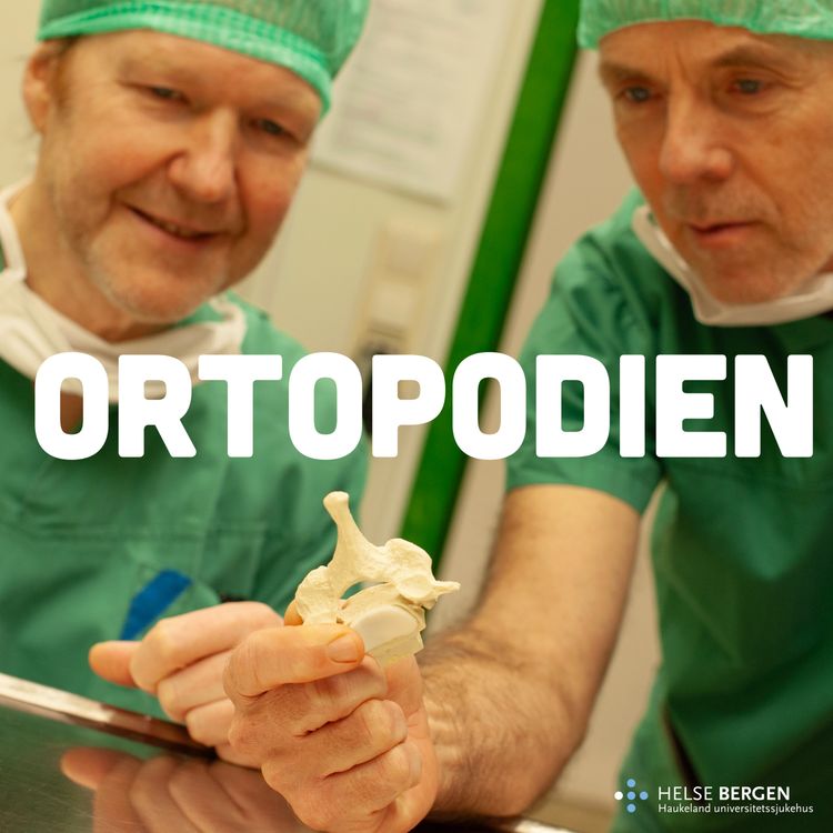 cover art for Prolaps
