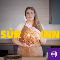 cover art for Súrinn