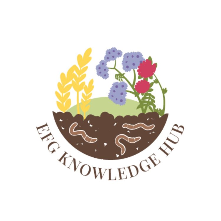 cover art for Carbon Calculators