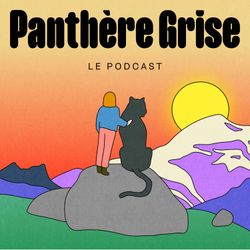 cover art for Panthère Grise