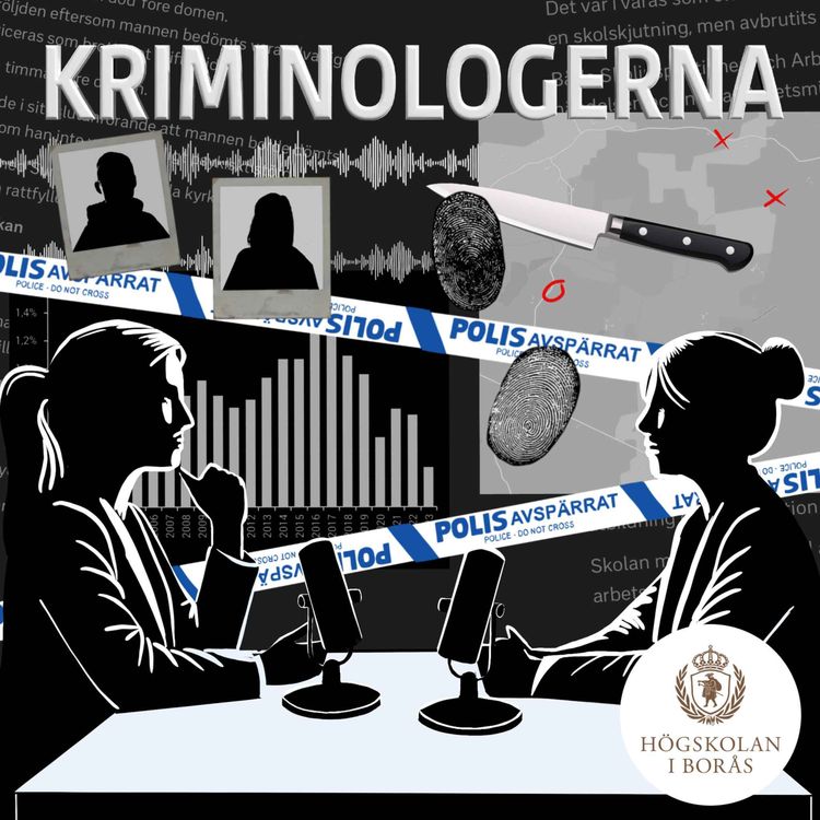 cover art for Viaduktmordet på Nella