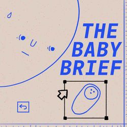 cover art for The Baby Brief
