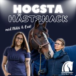 cover art for Hogsta Hästsnack