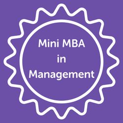 cover art for Mini MBA in Management