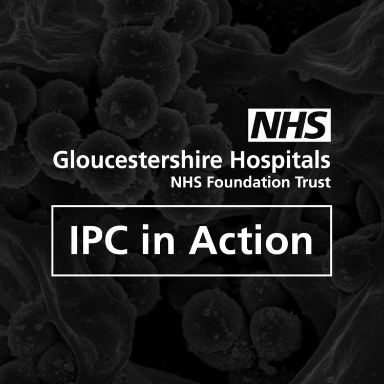 cover art for IPC in Action Nov 2023