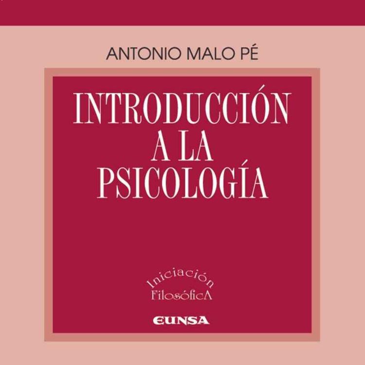 cover art for CONCLUSIONES