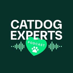 cover art for Cat Dog Experts België