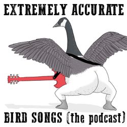 cover art for Extremely Accurate Bird Songs (The Podcast)