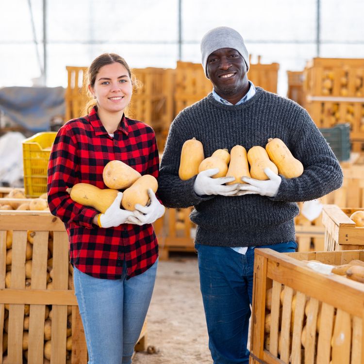 cover art for Episode 3: The Resilience Advisor