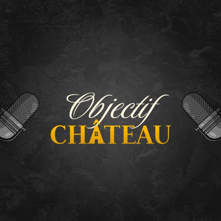 cover art for ACHETER UN CHÂTEAU, FINANCEMENT BANCAIRE, SECRETS DE LA RENOVATION