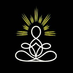 cover art for Health Wellness Longevity