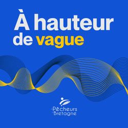 cover art for À hauteur de vague